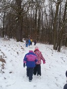 Výprava do zimního lesa